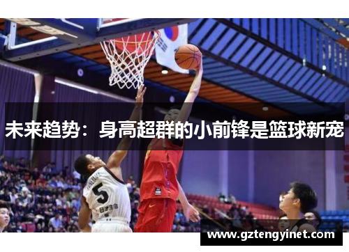 未来趋势：身高超群的小前锋是篮球新宠